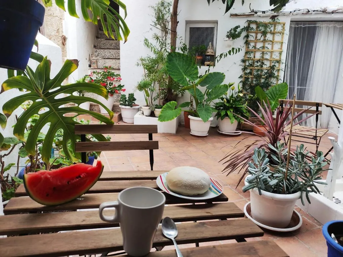 Besara Vejer Apartment Vejer de la Frontera